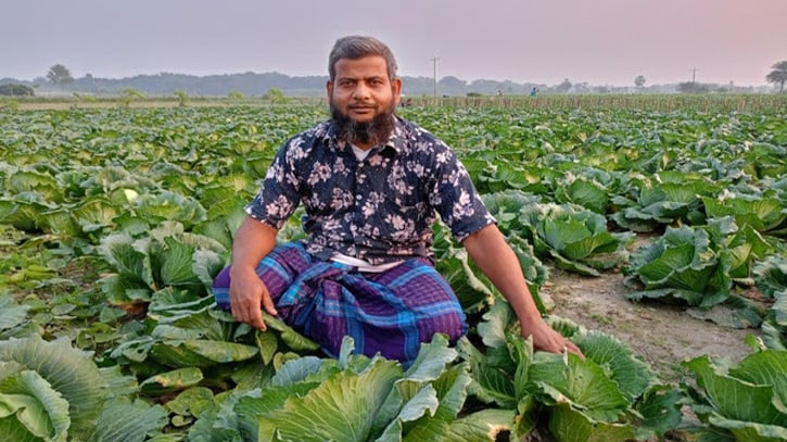 যশোরে শীতকালীন সবজি চাষে লাভবান আজিজুল যশোরে শীতকালীন সবজি চাষে লাভবান আজিজুল