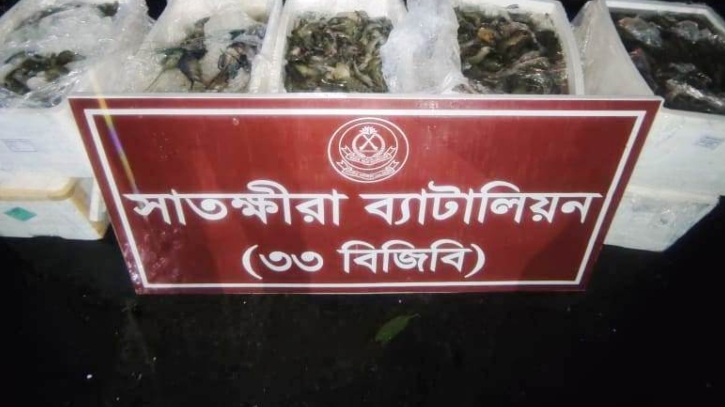 সাতক্ষীরায় জেলি পুশকৃত ৩শ কেজি চিংড়ি মাছ জব্দ সাতক্ষীরায় জেলি পুশকৃত ৩শ কেজি চিংড়ি মাছ জব্দ