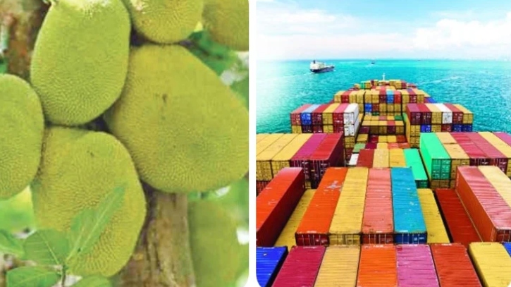 প্রথমবারের মতো সমুদ্রপথে সাড়ে ৩ টন কাঁঠাল রফতানি
