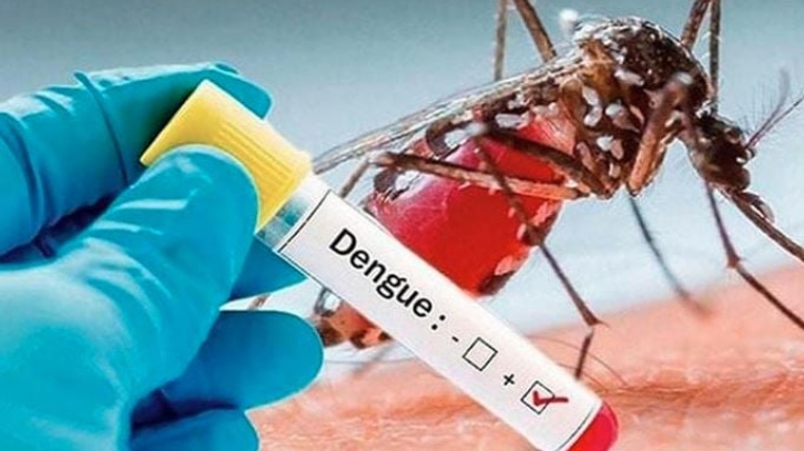 ২৪ ঘণ্টায় ডেঙ্গুতে আরও ৩ জনের মৃত্যু 