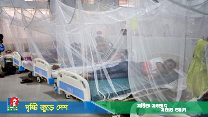 ডেঙ্গুতে আরও ৩ জনের মৃত্যু, হাসপাতালে ৭৮২ জন