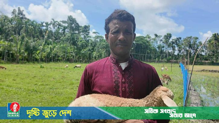 গাড়ল পালনে ভাগ্যবদল: ভোলার ফিরোজের সাফল্যে নতুন সম্ভাবনা