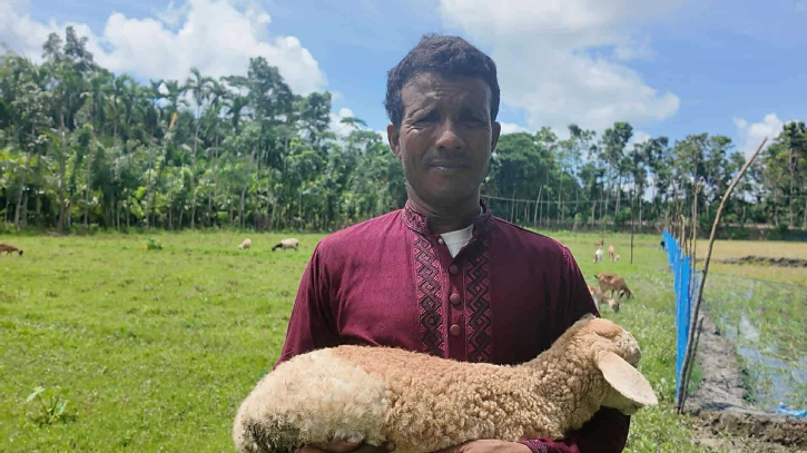 গাড়ল পালনে ভাগ্যবদল: ভোলার ফিরোজের সাফল্যে নতুন সম্ভাবনা