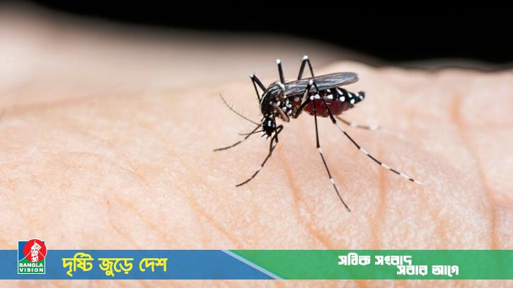 ডেঙ্গু আক্রান্ত হয়ে হাসপাতালে আরও ২৪৫ জন