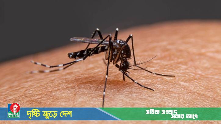 ডেঙ্গুতে আরও ২ জনের মৃত্যু, হাসপাতালে ২৭৯ জন