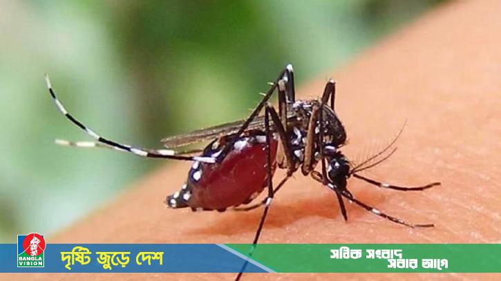 ডেঙ্গুতে একদিনে সর্বোচ্চ ১২ জনের মৃত্যু