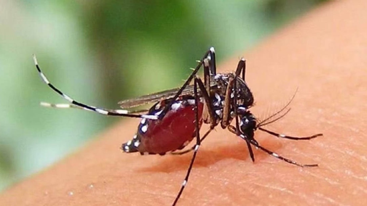 ডেঙ্গুতে প্রাণ গেলো আরও ৩ জনের, হাসপাতালে ৬৮৫ জন 