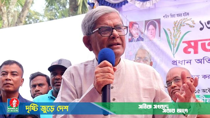 দেশ বাঁচাতে দ্রুত নির্বাচন দরকার: মির্জা ফখরুল