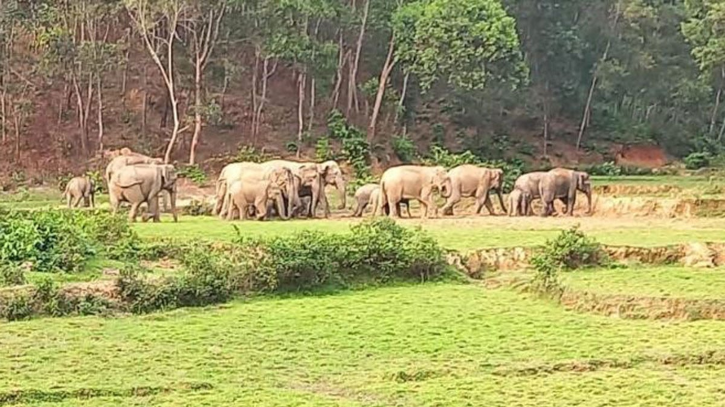 দেড় ঘন্টার ব্যবধানে বন্য হাতির আক্রমণে দুইজনের মৃত্যু দেড় ঘন্টার ব্যবধানে বন্য হাতির আক্রমণে দুইজনের মৃত্যু