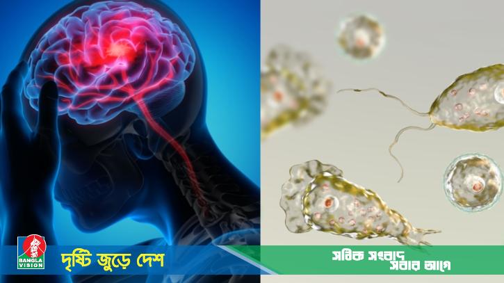 মানব ‘মস্তিষ্কখেকো’ ৩ অ্যামিবা