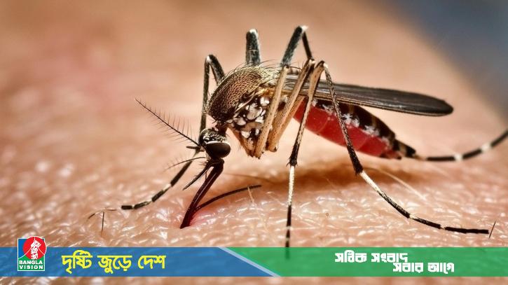 ২৪ ঘণ্টায় ডেঙ্গুতে আরও ৪৭০ জন আক্রান্ত