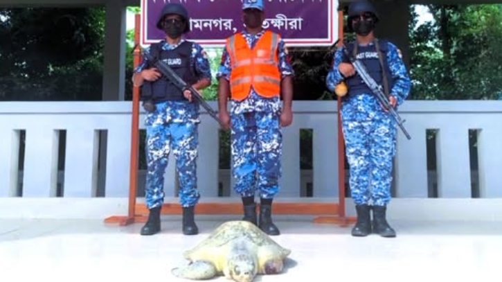 সাতক্ষীরা রেঞ্জের চুনকুড়ি নদী থেকে আহত কচ্ছপ উদ্ধার সাতক্ষীরা রেঞ্জের চুনকুড়ি নদী থেকে আহত কচ্ছপ উদ্ধার