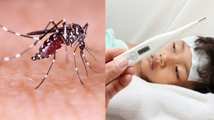 ডেঙ্গুর প্রকোপ আরও বাড়ার আশঙ্কা 