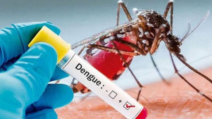 সারাদেশে ডেঙ্গুতে আরও ২ জনের প্রাণহানি সারাদেশে ডেঙ্গুতে আরও ২ জনের প্রাণহানি