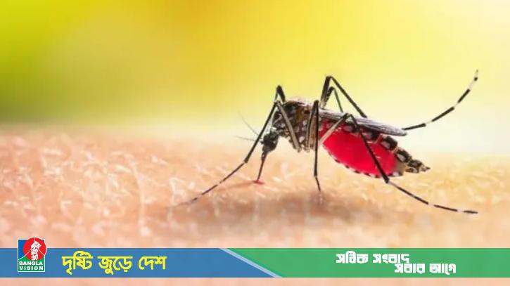 ২৪ ঘণ্টায় ডেঙ্গুতে আরও ৩ জনের মৃত্যু, হাসপাতালে ৫৮০