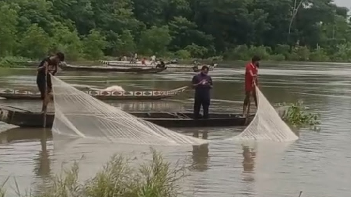 হালদা নদীতে ডিম ছেড়েছে কার্পজাতীয় মা মাছ