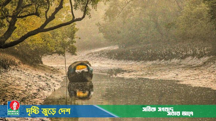 সুন্দরবনের সাতক্ষীরা রেঞ্জে নদ-নদী থেকে শামুক ধরলেই আইনগত ব্যবস্থা