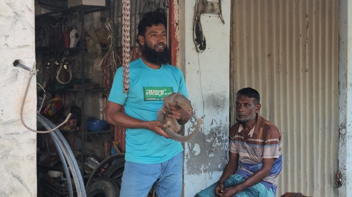 মানুষ-বেজির বন্ধুত্ব, ভালোবেসে নাম রেখেছে ‘লালু’ মানুষ-বেজির বন্ধুত্ব, ভালোবেসে নাম রেখেছে ‘লালু’