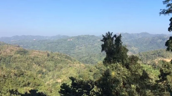 পর্বত দিবসে পাহাড় বাঁচানোর আহ্বান, রাঙ্গামাটিতে বিপন্ন প্রতিবেশ