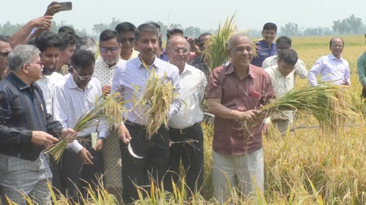 ‘সীমান্ত এলাকায় কৃষকরা নির্বিঘ্নে ধান কাটতে পারবে’ ‘সীমান্ত এলাকায় কৃষকরা নির্বিঘ্নে ধান কাটতে পারবে’