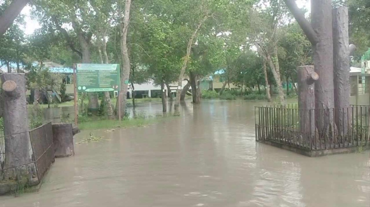নদ-নদীর পানি বৃদ্ধি, তলিয়ে গেলো সুন্দরবনের নিচু এলাকা নদ-নদীর পানি বৃদ্ধি, তলিয়ে গেলো সুন্দরবনের নিচু এলাকা