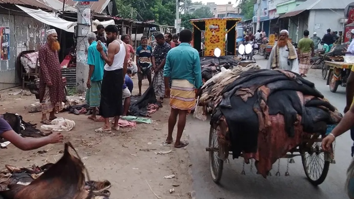 এ বছরও কাটলো না হতাশা, কম দামেই বিক্রি হচ্ছে গরুর চামড়া এ বছরও কাটলো না হতাশা, কম দামেই বিক্রি হচ্ছে গরুর চামড়া