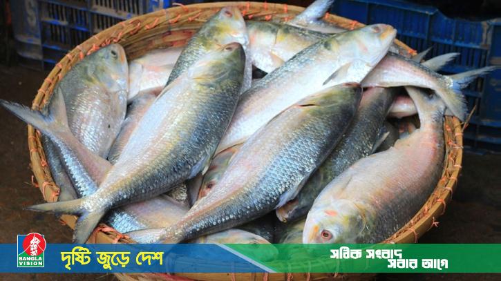 প্রথম চালানে ভারতে গেলো ৩৭ হাজার ৪৬০ কেজি ইলিশ