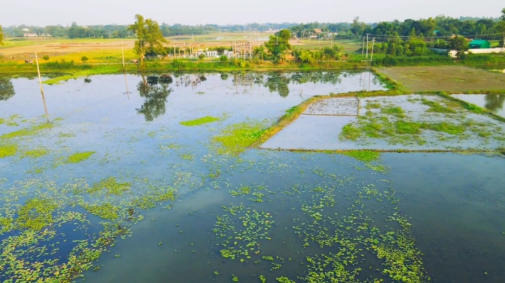 দুই হাজার একর ফসলি জমি অনাবাদি থাকার শঙ্কা দুই হাজার একর ফসলি জমি অনাবাদি থাকার শঙ্কা