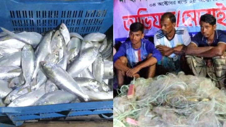 রাজবাড়ীতে অবৈধভাব ইলিশ ধরায় ১৪ জেলের কারাদণ্ড