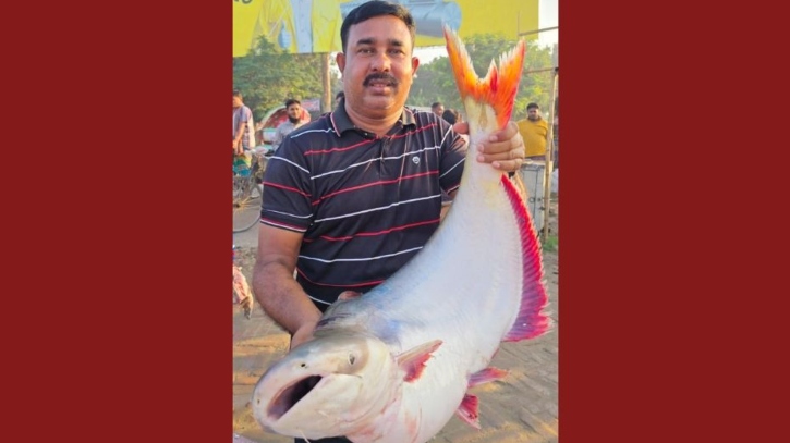 ২৬ কেজি ওজনের পাঙ্গাশ মাছ বিক্রি হলো ৬৮ হাজার টাকায় ২৬ কেজি ওজনের পাঙ্গাশ মাছ বিক্রি হলো ৬৮ হাজার টাকায়