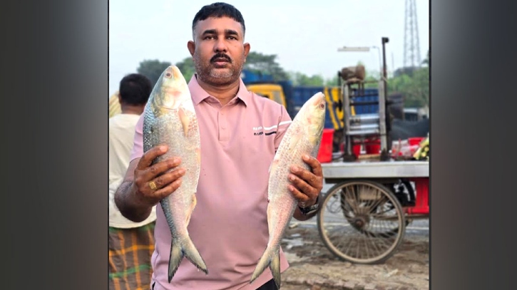 পদ্মার দুই ইলিশের দাম ১৯ হাজার ৭০০ টাকা