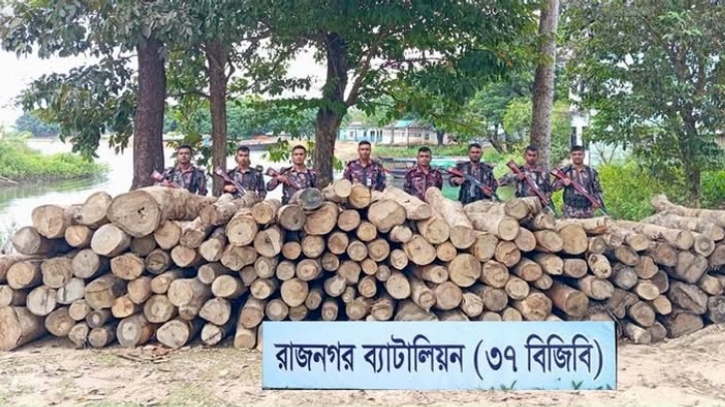 রাজনগরে বিজিবির অভিযানে বিপুল পরিমাণ অবৈধ কাঠ জব্দ