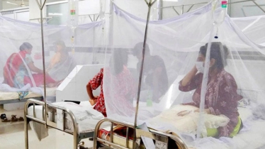 ডেঙ্গুতে আরও ২ জনের প্রাণহানি, হাসপাতালে ৩৯৬ জন