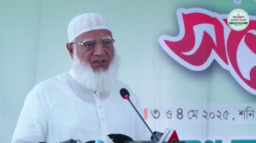 আগামী বছরের ফেব্রুয়ারি বা এপ্রিল মাসের মধ্যে নির্বাচনের পরামর্শ ড
