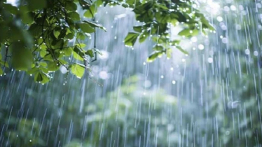 ঈদের দিনও রয়েছে বৃষ্টির শঙ্কা 