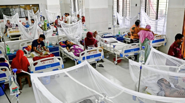 ডেঙ্গুতে আরও ৩ জনের মৃত্যু, হাসপাতালে ৪০৮