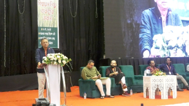 সার্কাস করে নয়, বিনিয়োগ আসবে গণতান্ত্রিক সরকার ক্ষমতায় এলে: আমীর খসরু