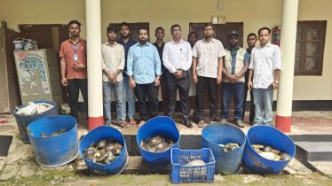বন বিভাগ কর্তৃক ৪২৫টি কচ্ছপ উদ্ধার 