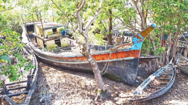 নষ্ট হচ্ছে সুন্দরবনের সাতক্ষীরা রেঞ্জে জব্দ করা কয়েক হাজার নৌকা–ট্রলার