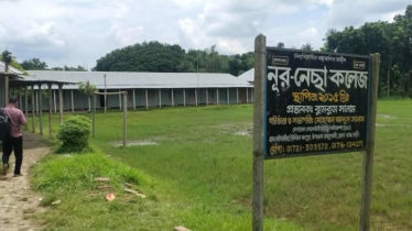 রাজবাড়ীতে ৪ কলেজের কেউ পাস করেনি