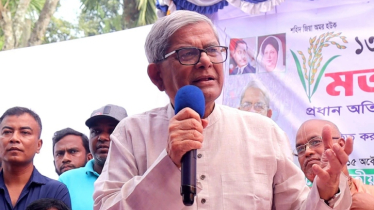 দেশ বাঁচাতে দ্রুত নির্বাচন দরকার: মির্জা ফখরুল 