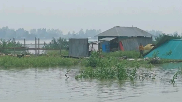 যমুনা নদীর পানি বৃদ্ধি অব্যাহত, নদীগর্ভে বিলীন দেড় শতাধিক ঘরবাড়ি