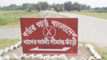 চোরাকারবারী ধরতে সীমান্তে বিজিবির ফাঁকা গুলি, ভারতীয় মহিষ জব্দ