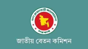 প্রতিবেদন দাখিল নিয়ে যা জানালো বেতন কমিশন