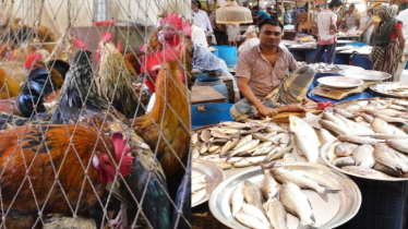 কমেছে মুরগির দাম, মাছের বাজার চড়া