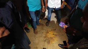 যাত্রাবাড়ীতে বৃক্ষমেলায় ককটেল বিস্ফোরণে আহত ৫