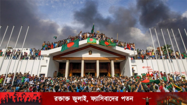 গণহত্যা চালালেও ক্ষমতা টেকাতে পারেনি স্বৈরাচারী আ. লীগ সরকার