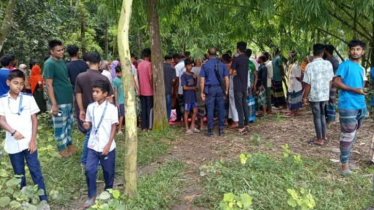 বাবার বাড়িতে আসার একদিন পর বাঁশঝাড় থেকে নারীর মরদেহ উদ্ধার  