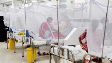 ডেঙ্গুতে আর ৩ জনের মৃত্যু, হাসপাতালে ৪৭৩  