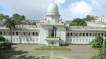 ২১ আগস্ট গ্রেনেড হামলা: তারেক-বাবরকে খালাসের বিরুদ্ধে রাষ্ট্রপক্ষের আপিল শুনানি
